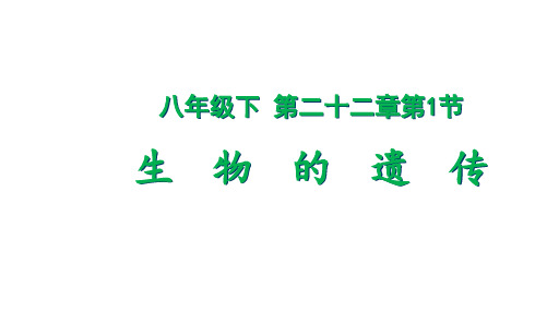 221生物的遗传-江苏省淮安市洪泽区苏科版八年级生物下册课件(共54张PPT)