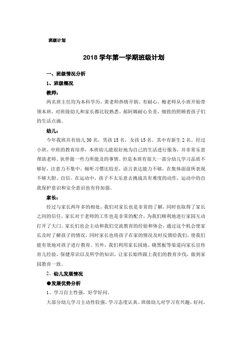 2018学年度第一学期班级计划——大三班
