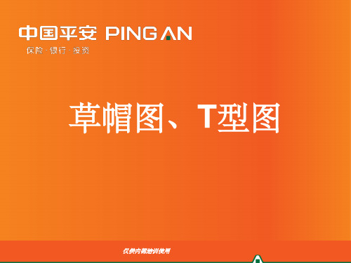草帽图、T型图ppt