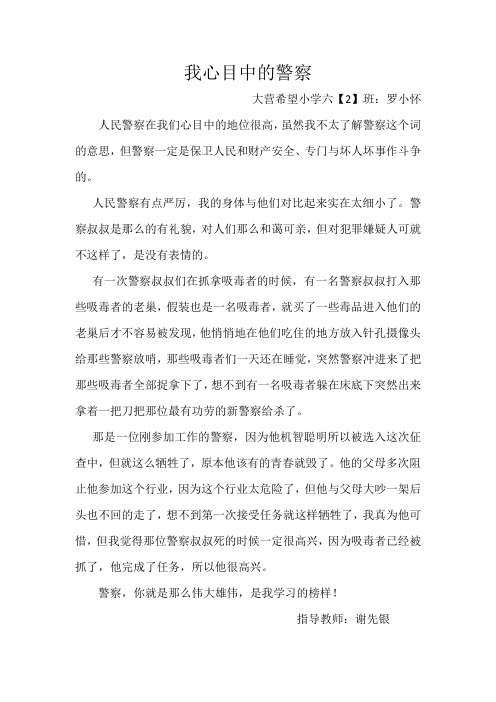 我心目中的警察