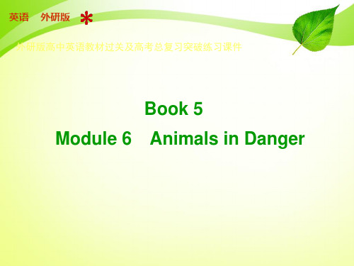 外研版高中英语教材过关及高考总复习突破练习：Book 5 Module 6课件