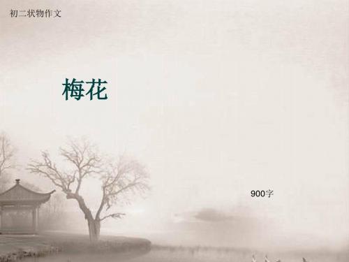 初二状物作文《梅花》900字(总11页PPT)