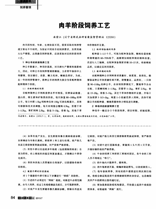 肉羊阶段饲养工艺