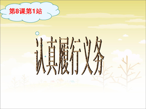 《做守法的公民》课件1