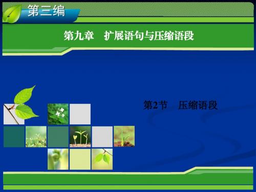 2014高考新课标版语文一轮复习指导课件 第9章 扩展语句与压缩语段 第2节 压缩语段