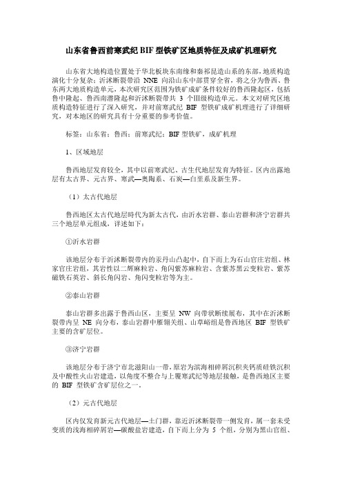山东省鲁西前寒武纪BIF型铁矿区地质特征及成矿机理研究