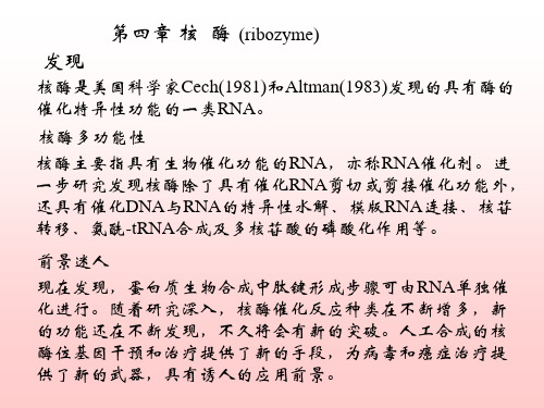 5第五章核酶课件