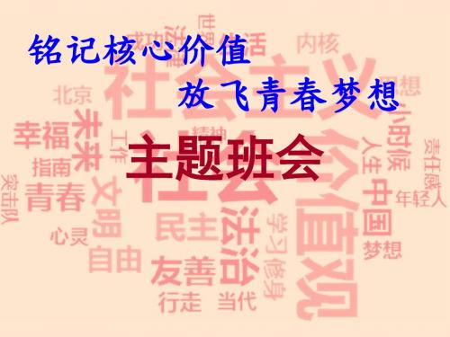 社会主义核心价值观主题班会1ppt