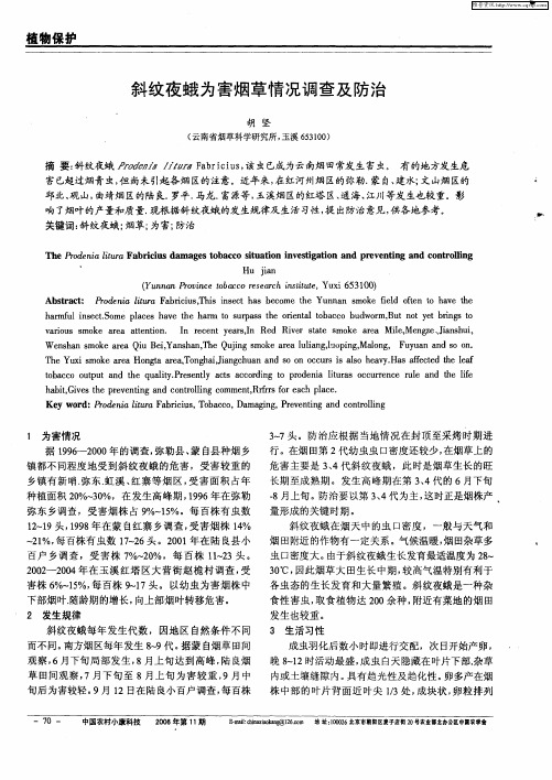 斜纹夜蛾为害烟草情况调查及防治