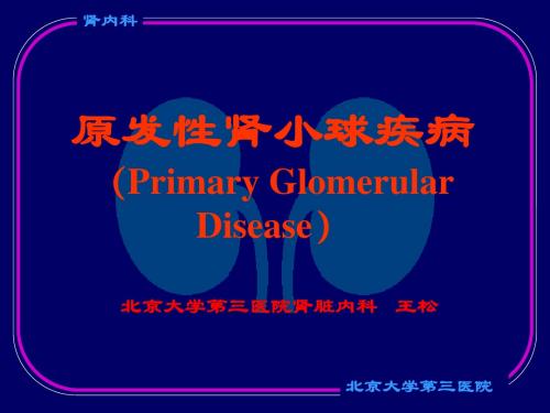 肾小球疾病46283