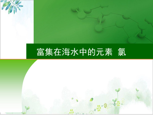 富集在海水中的元素氯课件高三高考化学一轮复习PPT