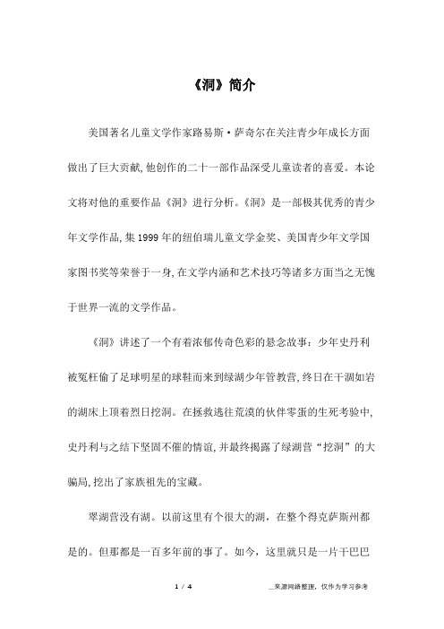 《洞》简介