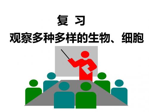 24讲：观察多种多样的生物、细胞