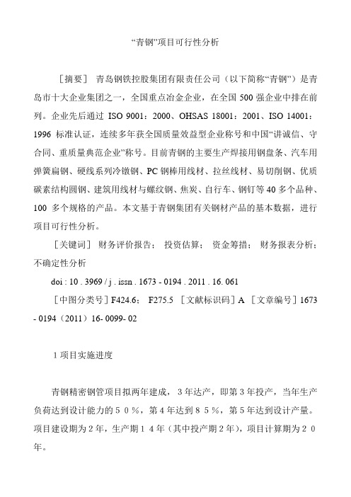 “青钢”项目可行性分析