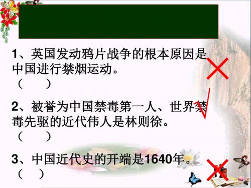 劫难中的抗争ppt9 北师大版