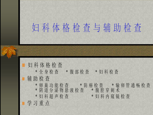 妇科体格检查