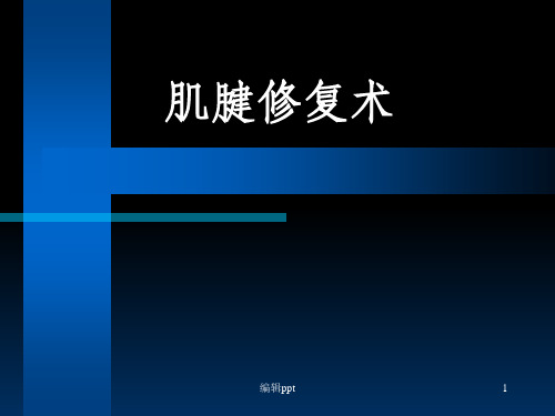 肌腱缝合方法PPT