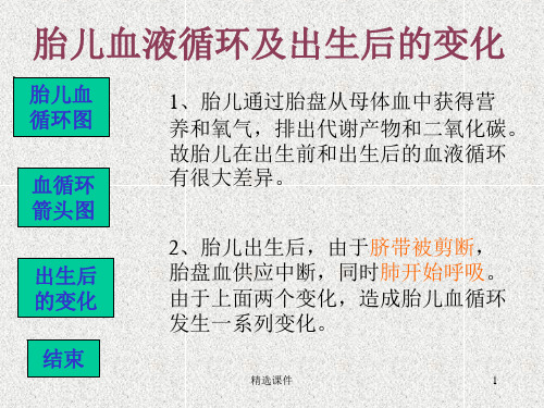 胎儿循环图解
