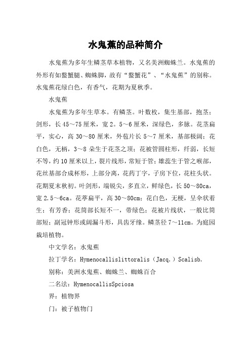 水鬼蕉的品种简介