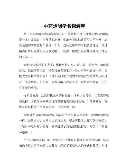 中药炮制学名词解释