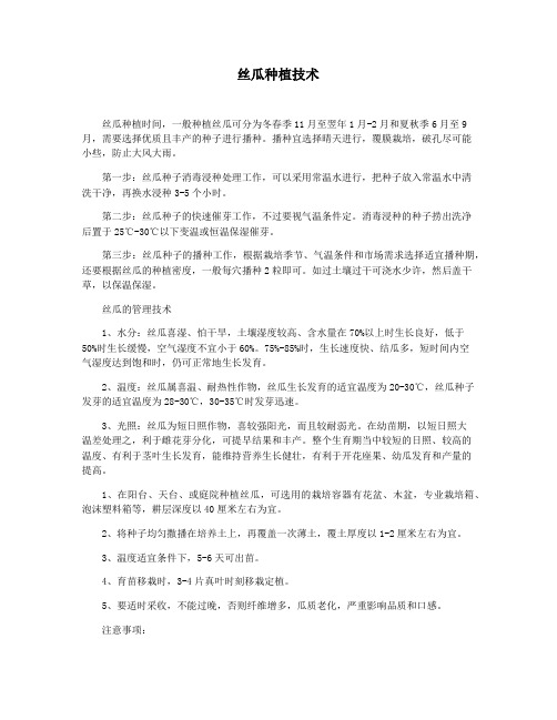 丝瓜种植技术