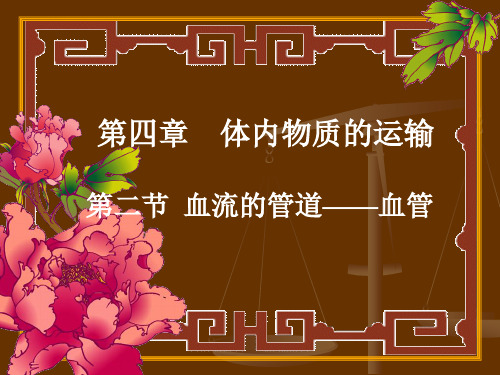 【初中生物】血流的管道——血管PPT课件