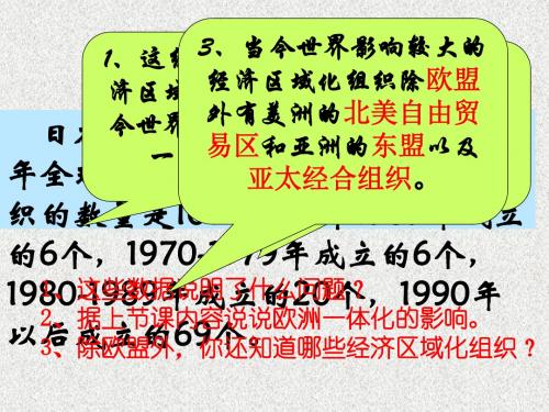 第26课美洲和亚洲的经济区域集团化1