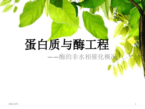 蛋白质与酶工程
