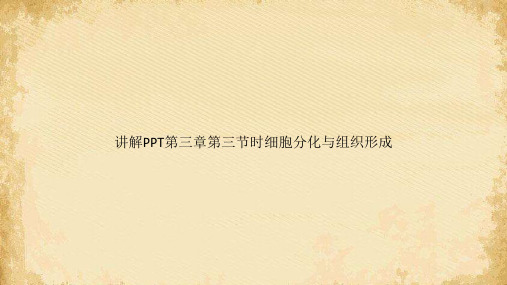 讲解PPT第三章第三节时细胞分化与组织形成