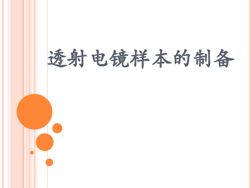 透射电镜样本的制备