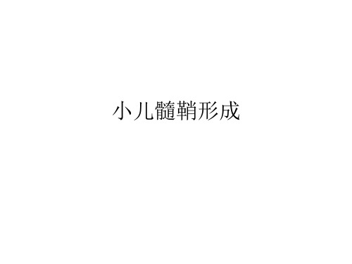 髓鞘形成