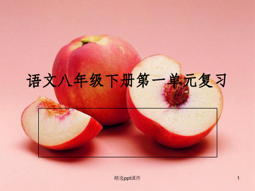 八年级下册人教版语文第一单元复习完整ppt课件