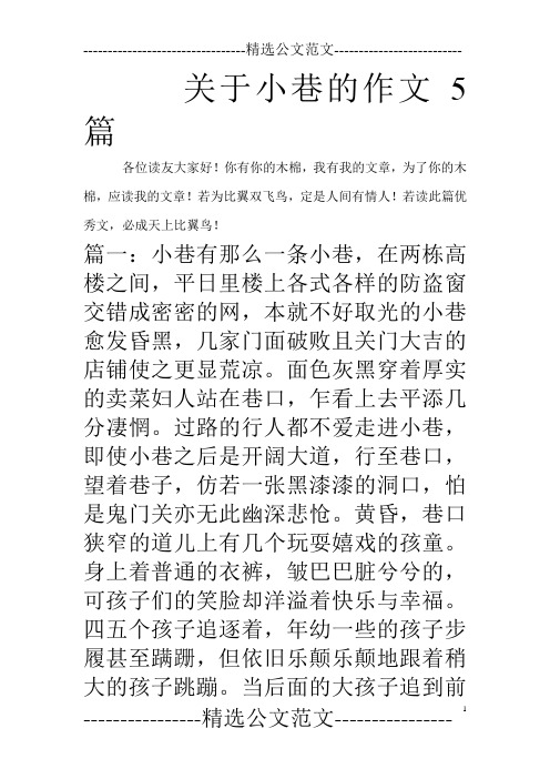 关于小巷的作文5篇