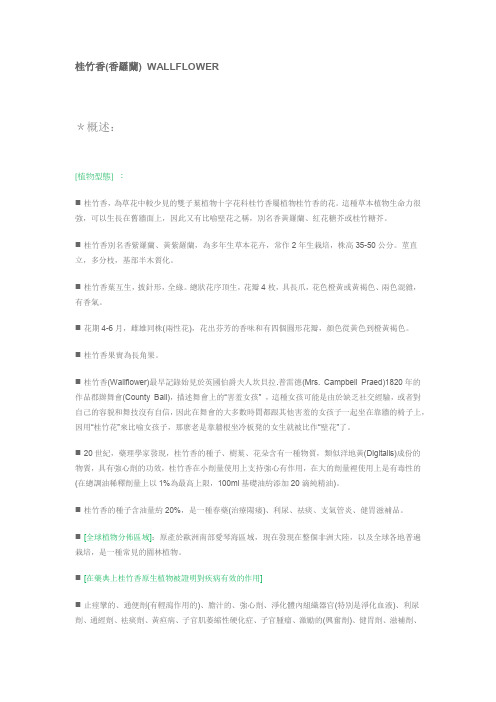 桂竹香