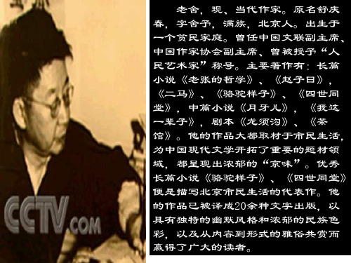 三年级语文五月的青岛(PPT)3-2