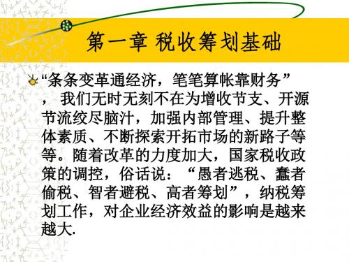 1.3 税收筹划基础