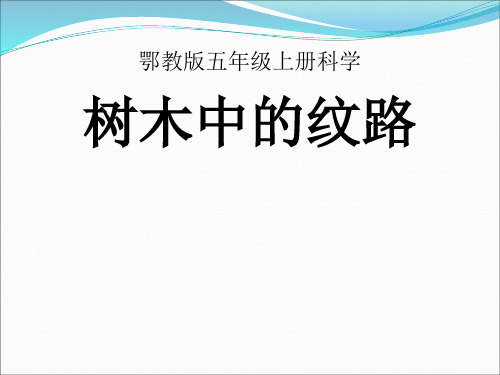 五年级上册科学课件-1.3树木中的纹路 ｜鄂教版  (共11张PPT)