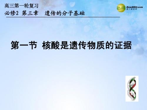 浙江省杭州市2014高三生物研讨会资料 核酸是遗传物质的证据课件