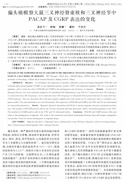 偏头痛模型大鼠三叉神经脊束核和三叉神经节中PACAP及CGRP表达的变化