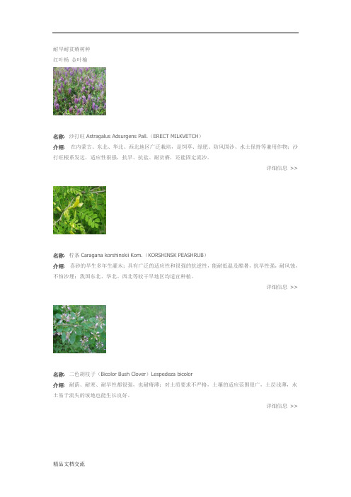 耐旱耐贫瘠植物