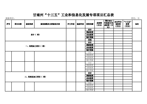 “十三五”规划项目汇总表样表