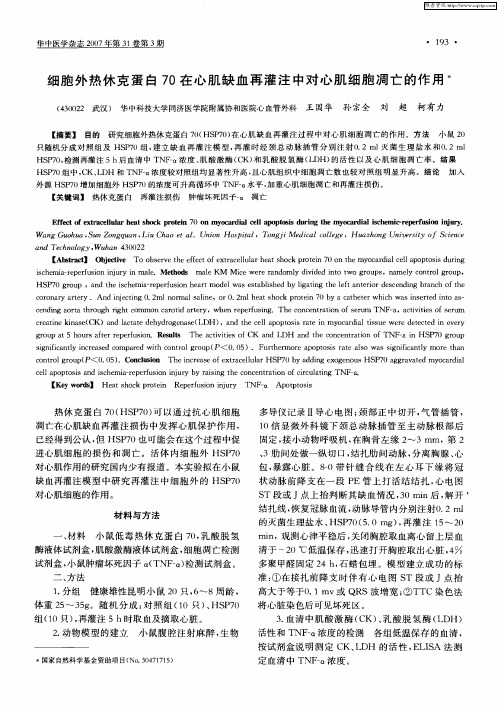 细胞外热休克蛋白70在心肌缺血再灌注中对心肌细胞凋亡的作用