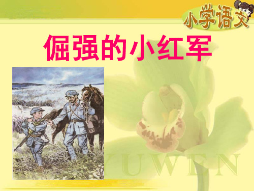 《倔强的小红军》  优秀PPT课件