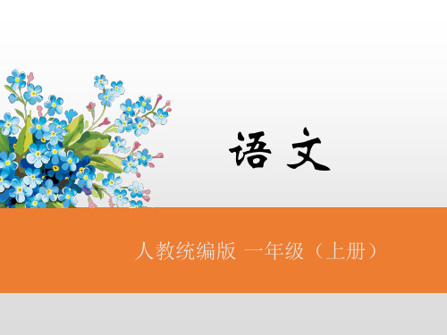 人教部编版一年级上册语文课件-6.画(课后练) (共11张PPT)
