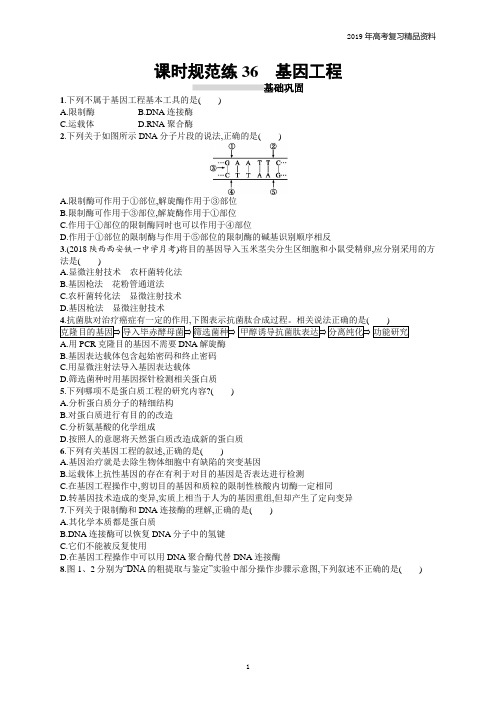 高考生物一轮复习第10单元生物技术与工程 课时规范练36
