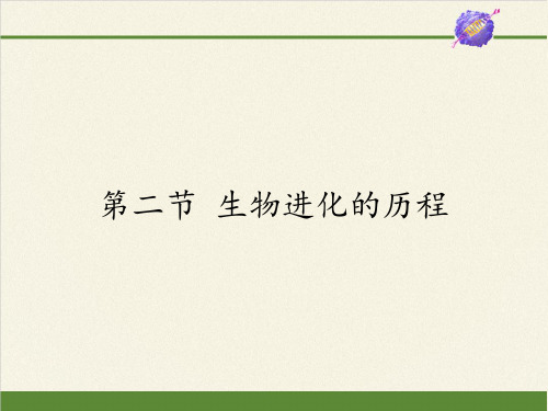 八年级生物下册教学课件-7.3.2生物进化的历程10-人教版