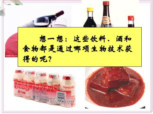 23-1源远流长的发酵技术