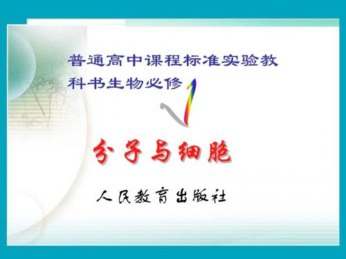 高一生物 细胞的分化