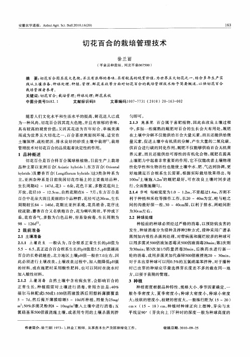 切花百合的栽培管理技术