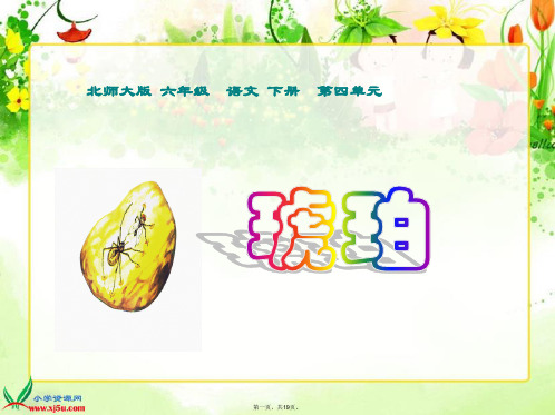 北师大版六年级语文下册《琥珀 2》PPT课件